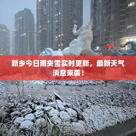 新鄉(xiāng)今日雨夾雪實(shí)時(shí)更新，最新天氣消息來襲！