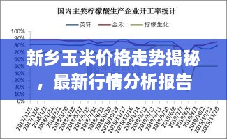 新鄉(xiāng)玉米價(jià)格走勢(shì)揭秘，最新行情分析報(bào)告
