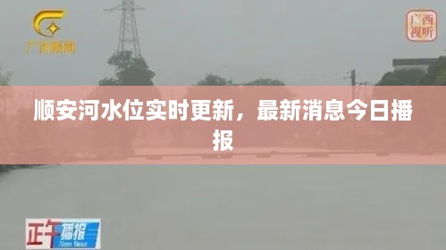順安河水位實(shí)時(shí)更新，最新消息今日播報(bào)