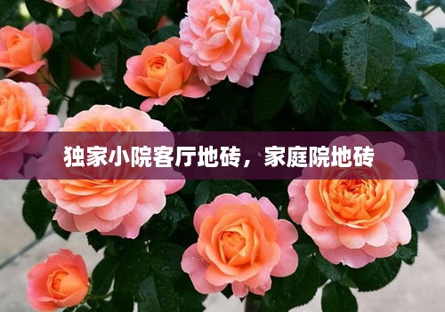 獨家小院客廳地磚，家庭院地磚 