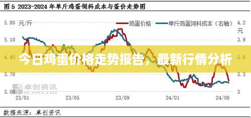 今日雞蛋價格走勢報告，最新行情分析
