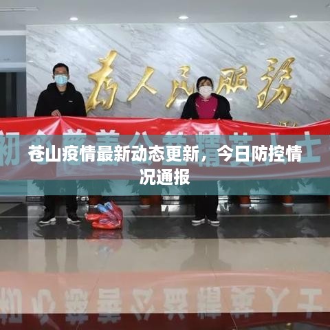 蒼山疫情最新動態(tài)更新，今日防控情況通報