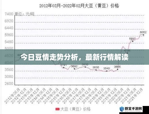 今日豆情走勢(shì)分析，最新行情解讀