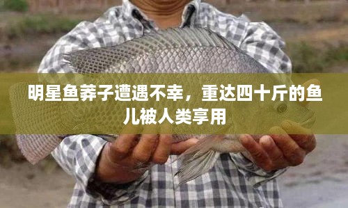 明星魚莽子遭遇不幸，重達(dá)四十斤的魚兒被人類享用