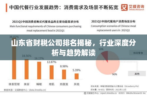 山東省財稅公司排名揭秘，行業(yè)深度分析與趨勢解讀