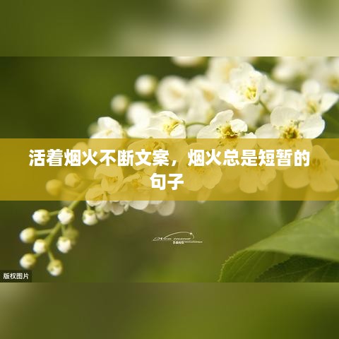 活著煙火不斷文案，煙火總是短暫的句子 