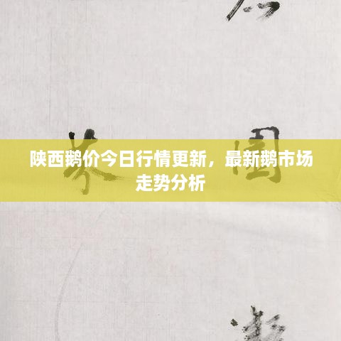 陜西鵝價今日行情更新，最新鵝市場走勢分析