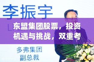 東盟集團股票，投資機遇與挑戰(zhàn)，雙重考量不容錯過