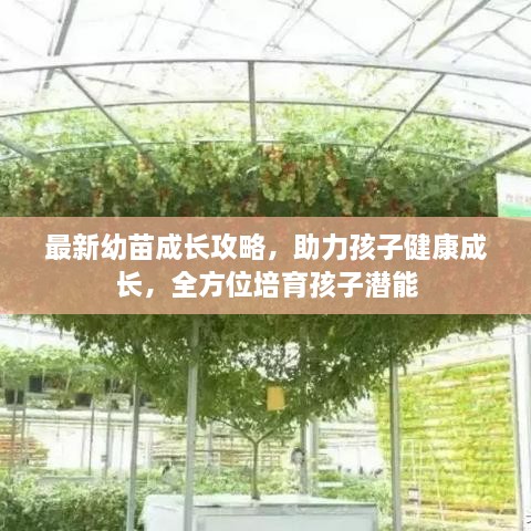 最新幼苗成長攻略，助力孩子健康成長，全方位培育孩子潛能