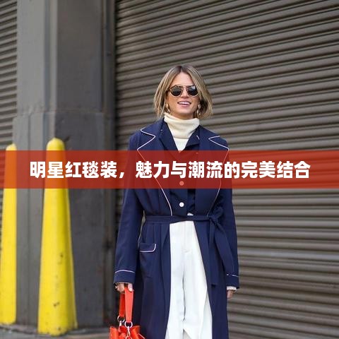 明星紅毯裝，魅力與潮流的完美結(jié)合
