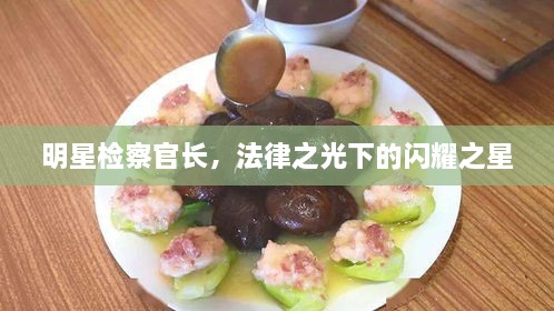 明星檢察官長(zhǎng)，法律之光下的閃耀之星
