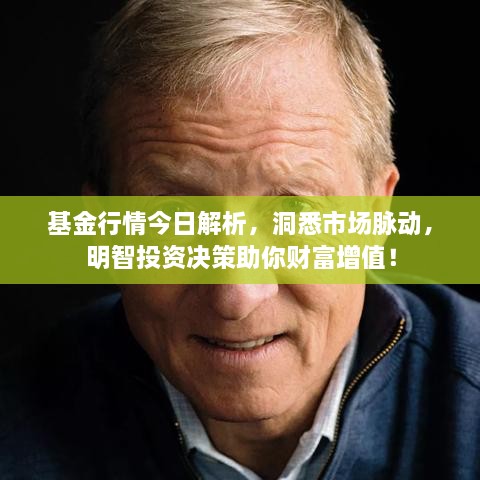 基金行情今日解析，洞悉市場(chǎng)脈動(dòng)，明智投資決策助你財(cái)富增值！