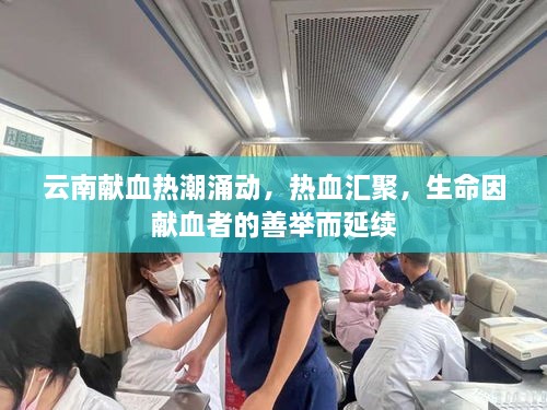 云南獻(xiàn)血熱潮涌動(dòng)，熱血匯聚，生命因獻(xiàn)血者的善舉而延續(xù)