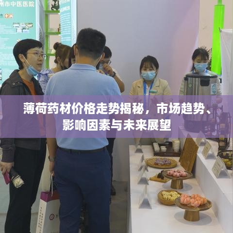 薄荷藥材價格走勢揭秘，市場趨勢、影響因素與未來展望