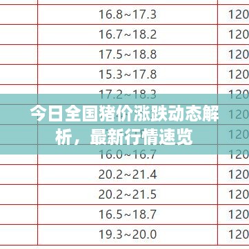 今日全國豬價漲跌動態(tài)解析，最新行情速覽