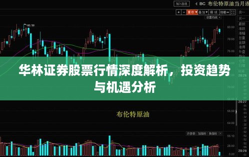 華林證券股票行情深度解析，投資趨勢(shì)與機(jī)遇分析