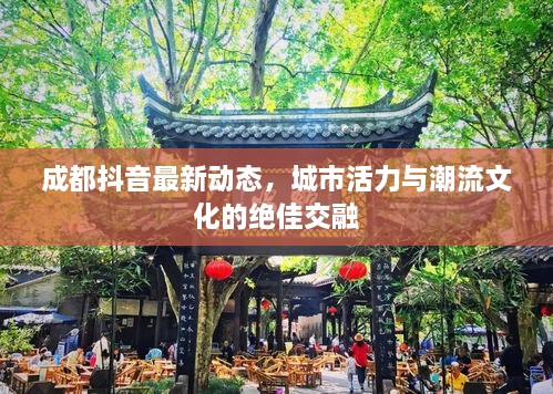 成都抖音最新動(dòng)態(tài)，城市活力與潮流文化的絕佳交融