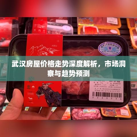 武漢房屋價(jià)格走勢(shì)深度解析，市場(chǎng)洞察與趨勢(shì)預(yù)測(cè)