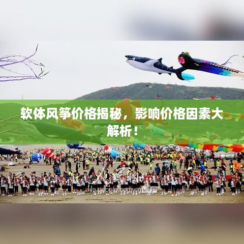 軟體風(fēng)箏價(jià)格揭秘，影響價(jià)格因素大解析！
