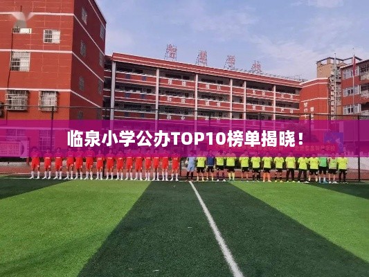 臨泉小學(xué)公辦TOP10榜單揭曉！