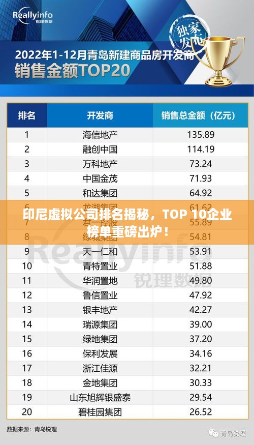 印尼虛擬公司排名揭秘，TOP 10企業(yè)榜單重磅出爐！