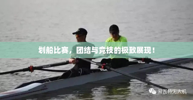劃船比賽，團(tuán)結(jié)與競技的極致展現(xiàn)！