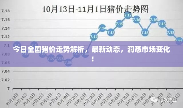 今日全國(guó)豬價(jià)走勢(shì)解析，最新動(dòng)態(tài)，洞悉市場(chǎng)變化！