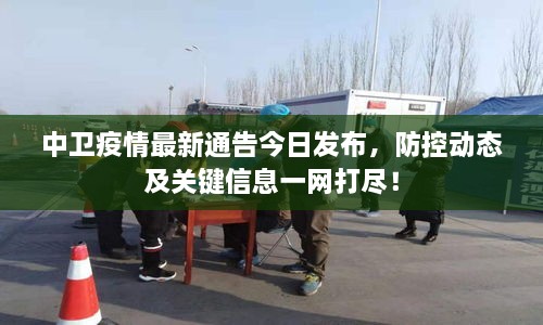 中衛(wèi)疫情最新通告今日發(fā)布，防控動態(tài)及關(guān)鍵信息一網(wǎng)打盡！