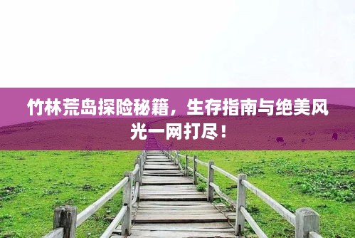 竹林荒島探險秘籍，生存指南與絕美風(fēng)光一網(wǎng)打盡！
