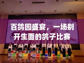 百鴿園盛宴，一場(chǎng)別開生面的鴿子比賽盛宴！