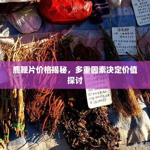 鹿鞭片價格揭秘，多重因素決定價值探討