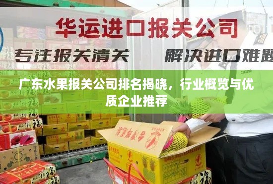 廣東水果報關(guān)公司排名揭曉，行業(yè)概覽與優(yōu)質(zhì)企業(yè)推薦