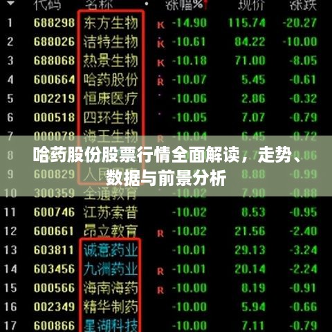 哈藥股份股票行情全面解讀，走勢、數(shù)據(jù)與前景分析