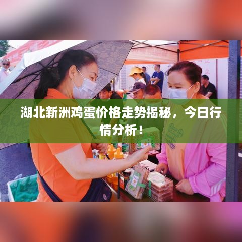 湖北新洲雞蛋價(jià)格走勢(shì)揭秘，今日行情分析！