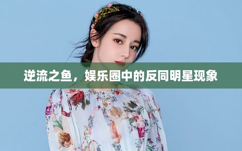 逆流之魚，娛樂(lè)圈中的反同明星現(xiàn)象