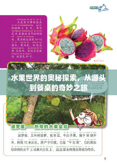 水果世界的奧秘探索，從源頭到餐桌的奇妙之旅