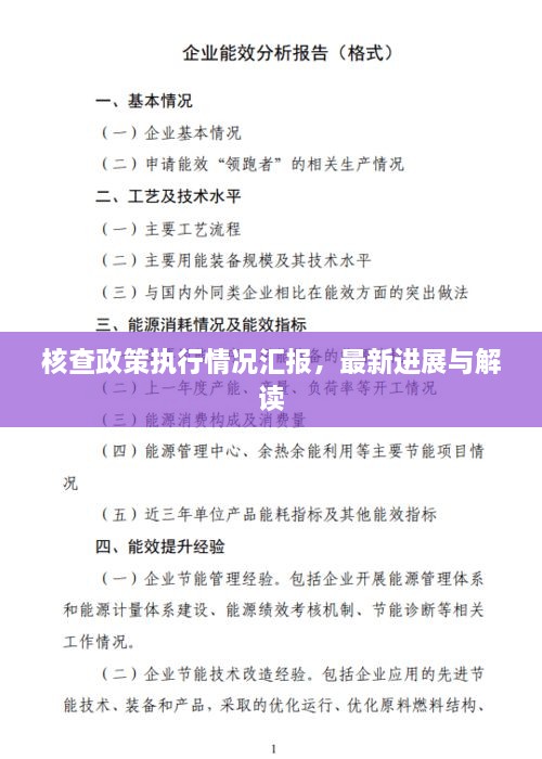 核查政策執(zhí)行情況匯報，最新進展與解讀