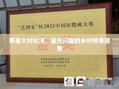 明星大村杜潯，星光閃耀的鄉(xiāng)村傳奇故事