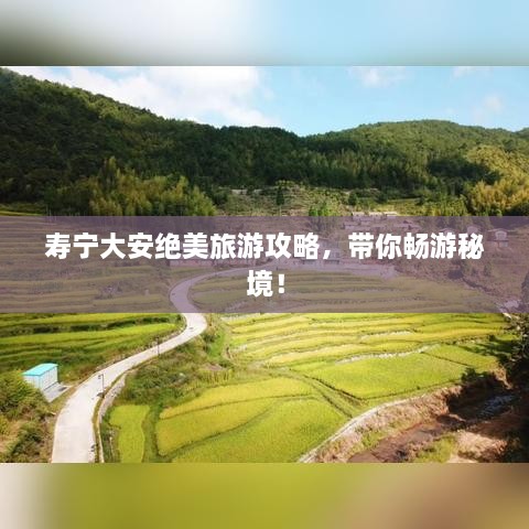壽寧大安絕美旅游攻略，帶你暢游秘境！