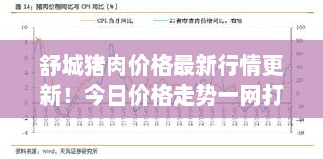 舒城豬肉價(jià)格最新行情更新！今日價(jià)格走勢(shì)一網(wǎng)打盡
