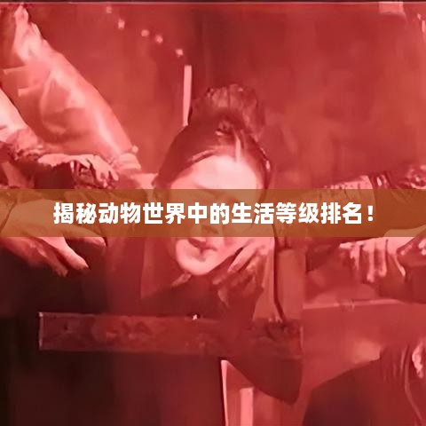 揭秘動(dòng)物世界中的生活等級(jí)排名！