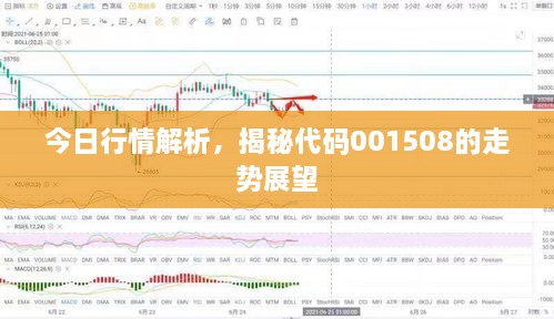 今日行情解析，揭秘代碼001508的走勢(shì)展望