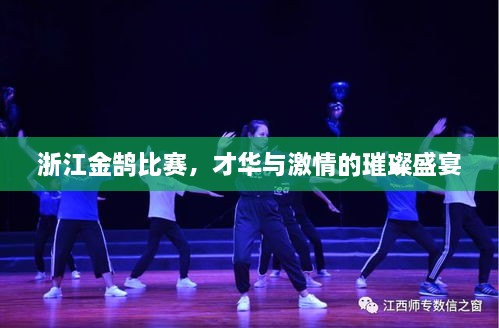 浙江金鵠比賽，才華與激情的璀璨盛宴