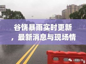谷饒暴雨實時更新，最新消息與現(xiàn)場情況全掌握！