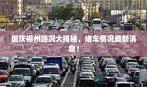 國慶郴州路況大揭秘，堵車情況最新消息！