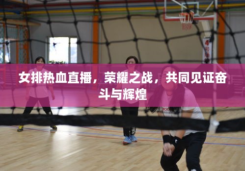 女排熱血直播，榮耀之戰(zhàn)，共同見(jiàn)證奮斗與輝煌