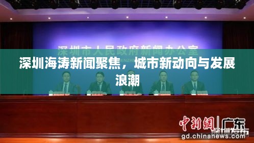 深圳海濤新聞聚焦，城市新動(dòng)向與發(fā)展浪潮