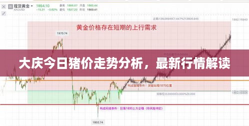 大慶今日豬價(jià)走勢分析，最新行情解讀