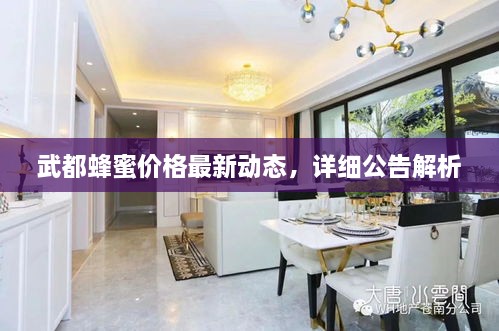 武都蜂蜜價格最新動態(tài)，詳細(xì)公告解析