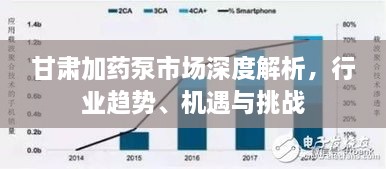 甘肅加藥泵市場(chǎng)深度解析，行業(yè)趨勢(shì)、機(jī)遇與挑戰(zhàn)